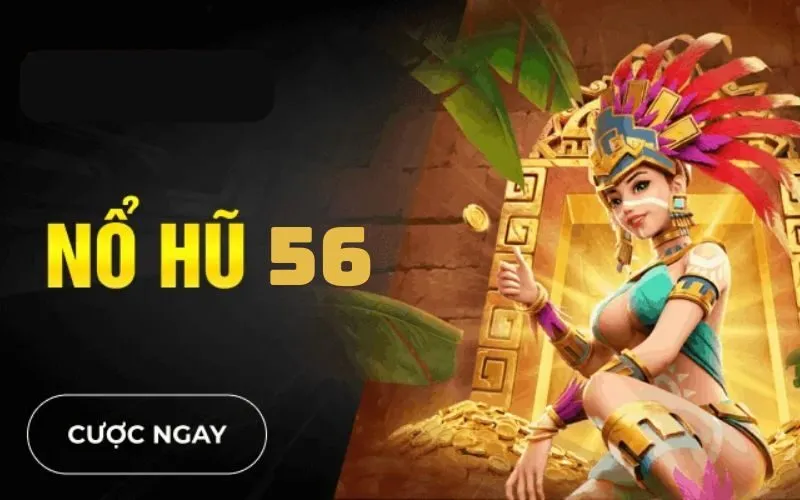 Tổng Quan Về nohu 56